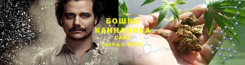 Бошки Шишки SATIVA & INDICA  Зеленогорск 